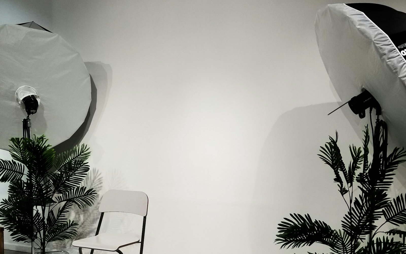 White infinity wall photo studio with studio lights in Camas